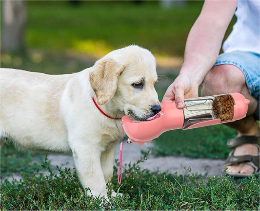 Pet Water Bottle and Feeder Bowl