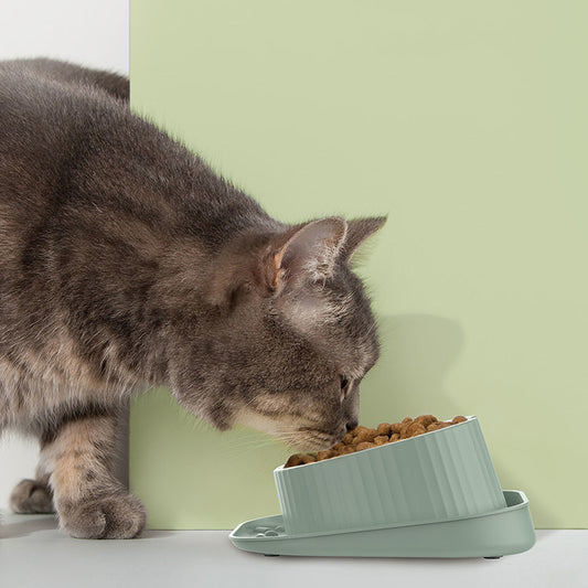 Wide-Mouth Ceramic Pet Bowl