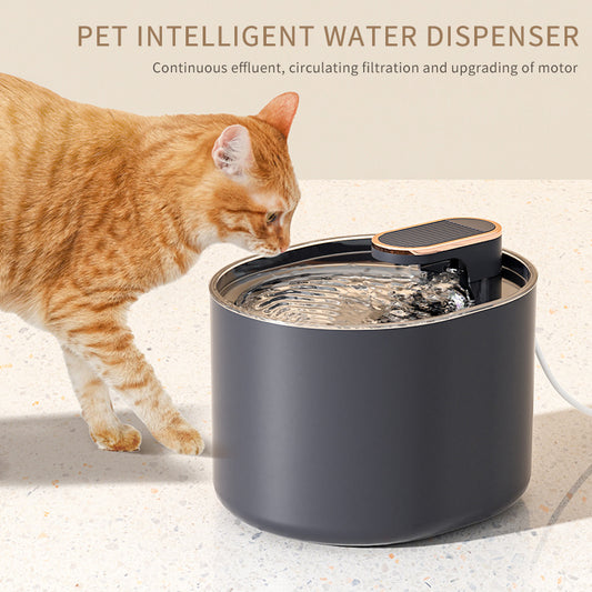 Pet Water Fountain Dispenser